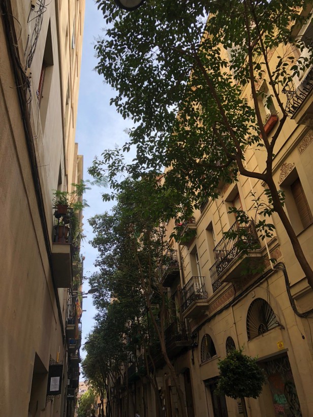 6CE36706-658B-4B72-903F-839945FC284B