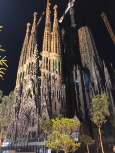 892905B5-5F28-4FF8-88EC-96F001A93C14