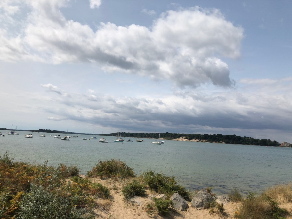 CAD92A3B-8186-45E9-89F3-C1F54319731D