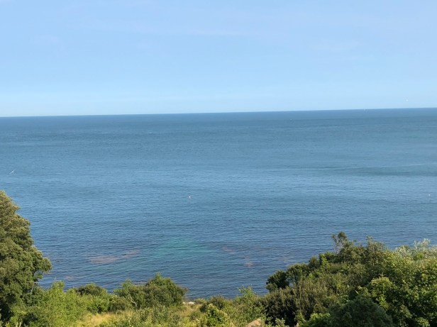 277EF537-E168-4DA0-9C14-0EA86B2A55C5