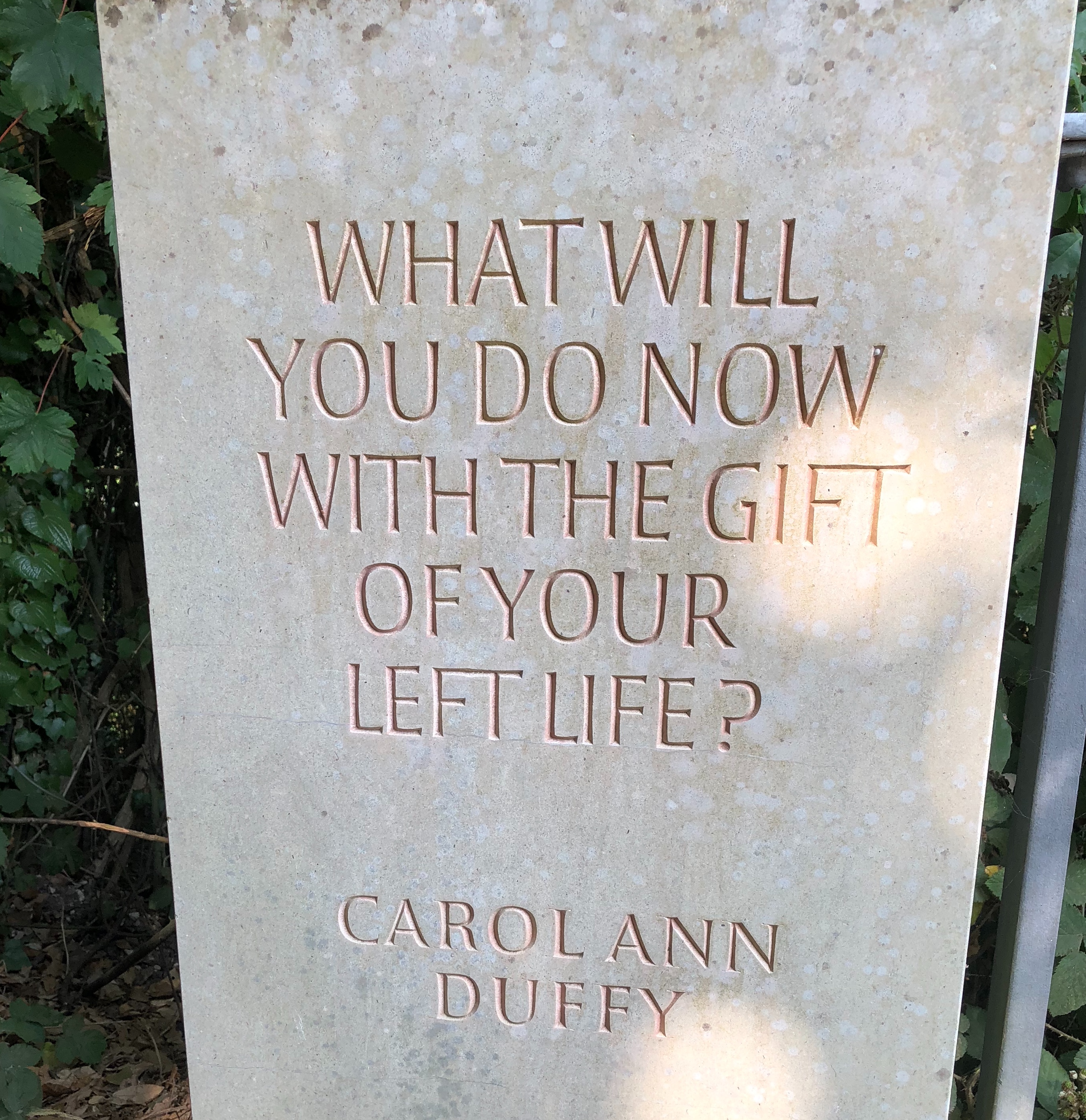 EF571562-0AFD-4372-BF71-13708420426D