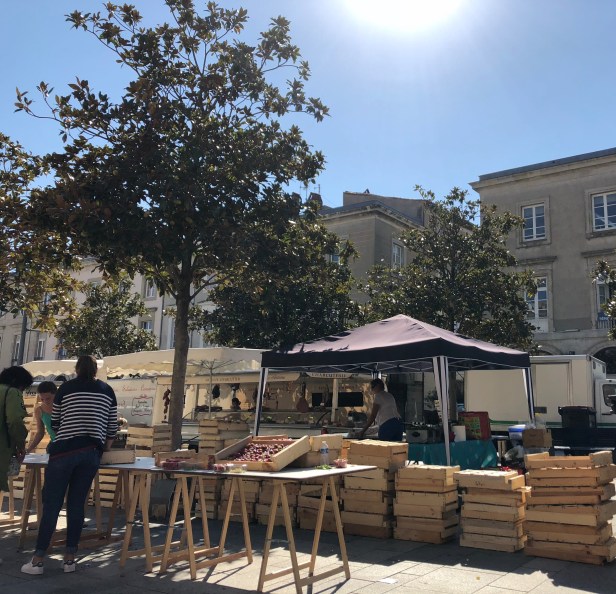 DA3301F1-31F2-41FB-966B-0D614B377208