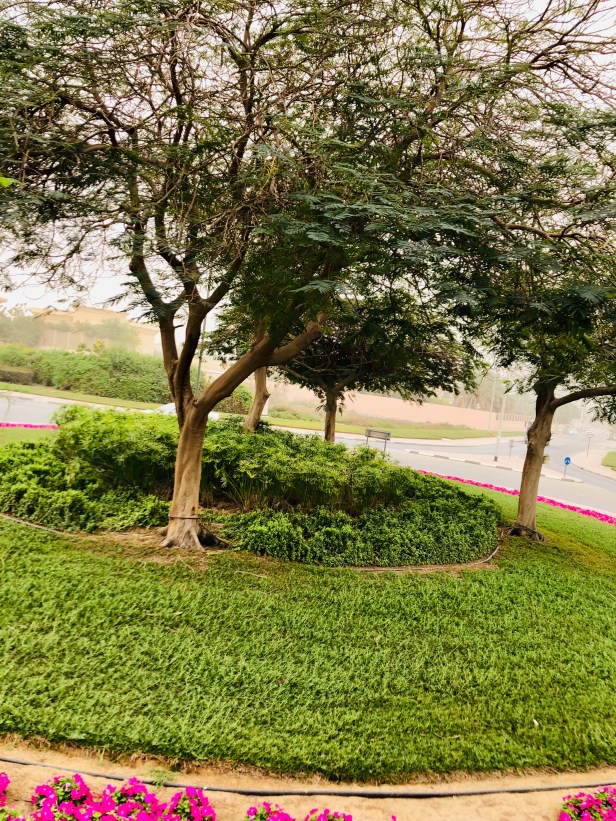 3EC141CC-82D2-4932-A9C5-E17B790B6BAB