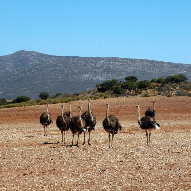 2A914CC0-56AB-4781-BA2F-668E6C4174B0