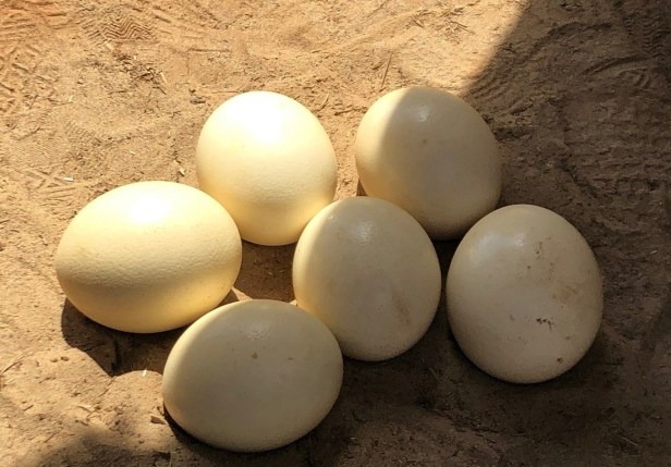 3C1E9014-10FB-41A8-9B34-3C2026FC04BC