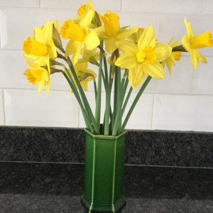 4C3D07C2-E7CF-4DE6-A7EE-3E9739FD410F